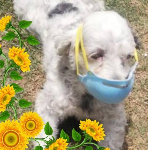 Meet your Posher, Ana - Picture 1 of 1